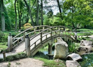 Gdzie kupić japoński nóż? Gdzie kupić japoński nóż?