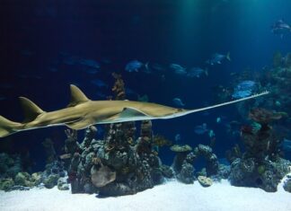 Jaka piłą ręczna do metalu? Jaka piłą ręczna do metalu?