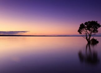 Ile litrów wody na m2 trawnika? Ile litrów wody na m2 trawnika?