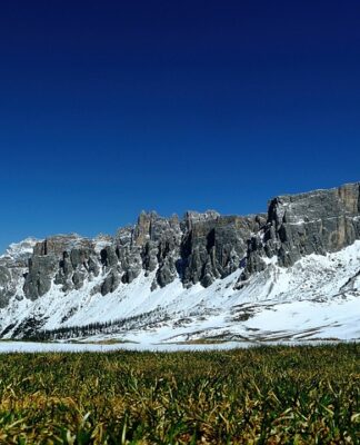 Do czego służy nawóz Azofoska?