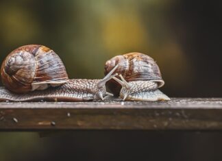 Gdzie jest czujnik zużycia klocków? Gdzie jest czujnik zużycia klocków?