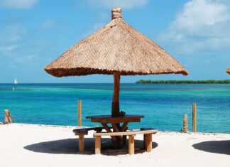 Jaki uszczelniacz do przyczepy? Jaki uszczelniacz do przyczepy?