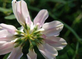 Jak zabezpieczyć drzwi garażowe przed wiatrem? Jak zabezpieczyć drzwi garażowe przed wiatrem?