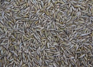 Gdzie jest produkowane HiKOKI?