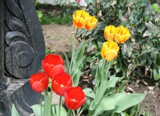 Co zamiast cokołu? Co zamiast cokołu?