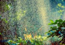 Ile zraszaczy na linie? Ile zraszaczy na linie?