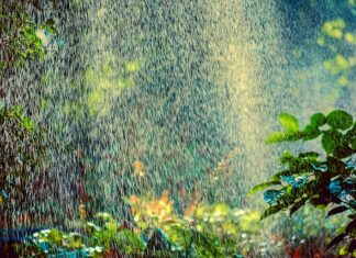 Jaki zraszacz na wąski trawnik? Jaki zraszacz na wąski trawnik?