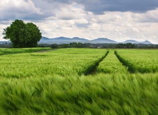 Jaki rozstaw nóg w stole? Jaki rozstaw nóg w stole?