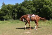 Kiedy montować nasady kominowe?