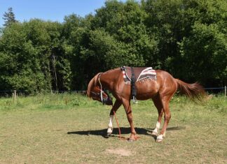 Kiedy montować nasady kominowe? Kiedy montować nasady kominowe?