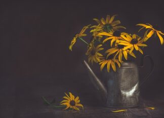 Jakie ciśnienie wody do podlewania ogrodu? Jakie ciśnienie wody do podlewania ogrodu?