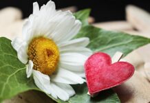 Czy trzeba wymieniać oba zaciski hamulcowe?