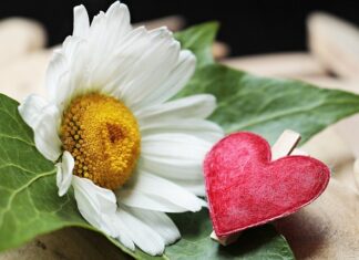 Czy trzeba wymieniać oba zaciski hamulcowe? Czy trzeba wymieniać oba zaciski hamulcowe?