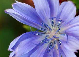 Jaki zamiennik baterii Makita? Jaki zamiennik baterii Makita?