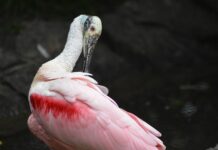 Jak Wygładzić styropian? Jak Wygładzić styropian?