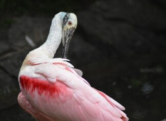 Jak Wygładzić styropian? Jak Wygładzić styropian?