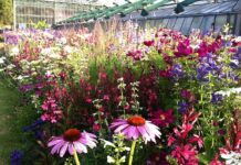 Ile kosztuje tona mocznika na dzień dzisiejszy?