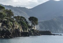 Ile kosztuje 100 kg saletry amonowej?