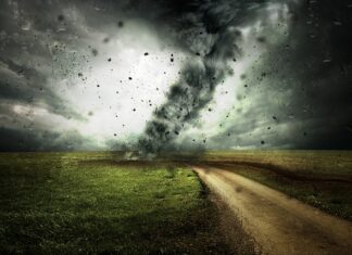 Ile kosztuje zmiana właściciela w dowodzie rejestracyjnym? Ile kosztuje zmiana właściciela w dowodzie rejestracyjnym?