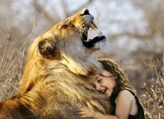 Który lepszy olej 5W-30 czy 5W40?